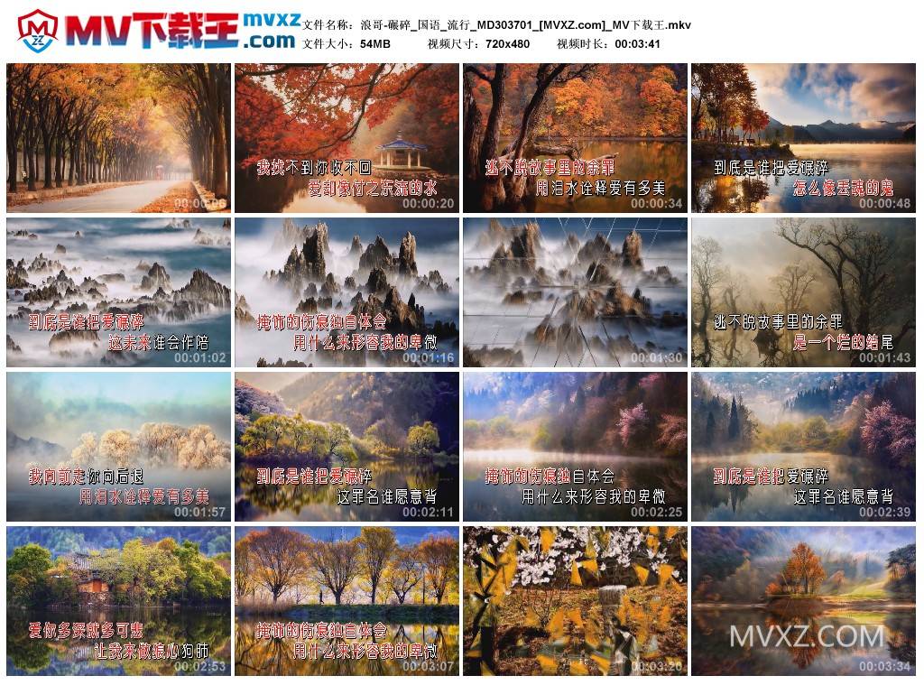 浪哥-碾碎_国语_流行_MD303701